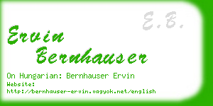 ervin bernhauser business card